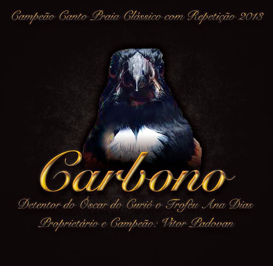 CD - Do Curió Carbono - Campeão Brasileiro 2013