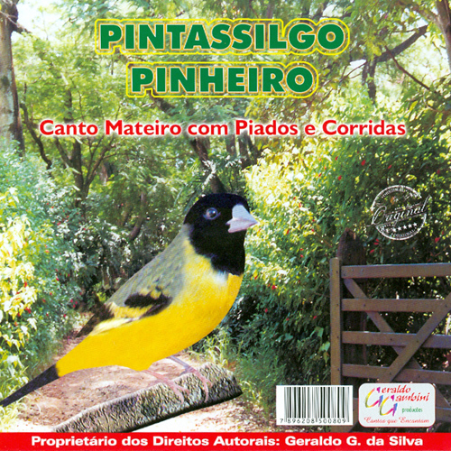 CD - Pintassilgo Pinheiro