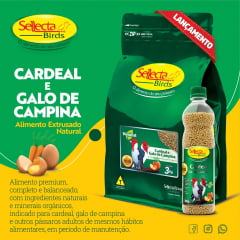 SELLECTA - EXTRUSADO NATURAL CARDEAL E GALO DA CAMPINA 3KG (promoção 20% OFF)