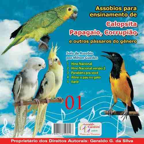 CD - Assobio Calopsita, Papagaios e Corrupião - Internacional