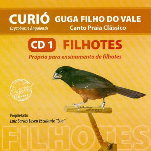 CD - Show Guga Filho Do Vale